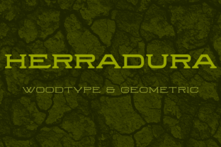 Herradura Family: A Modern Slab Serif for Digital Branding