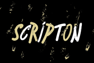 Scripton Typeface Review: Urban Brush Fonts for Bold Brand Identity