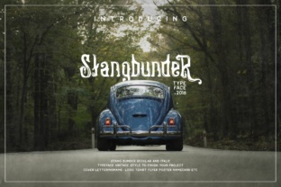 Stangbunder: The Vintage Display Font for Authentic Branding