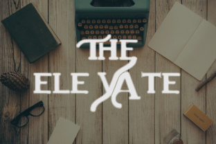The Elevate Display Typeface for Modern Editorial Design
