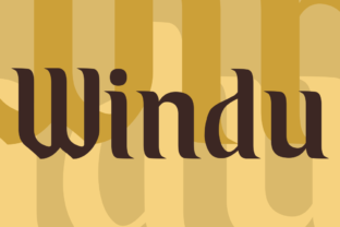 Windu Display Typeface for High-Impact Brand Logos